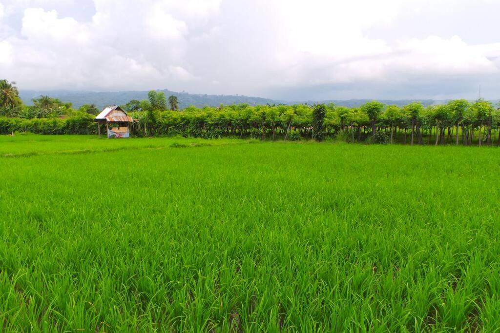 Villa Triyuna, Our Little Paradise Banjar  エクステリア 写真