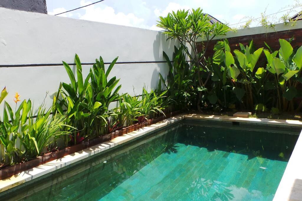 Villa Triyuna, Our Little Paradise Banjar  エクステリア 写真